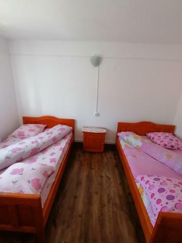 Hostal Pensiunea Poarta Lui Ionele