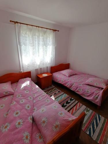 Hostal Pensiunea Poarta Lui Ionele