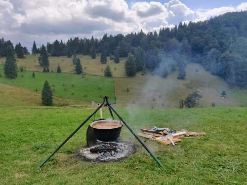 Hostal Pensiunea Poarta Lui Ionele