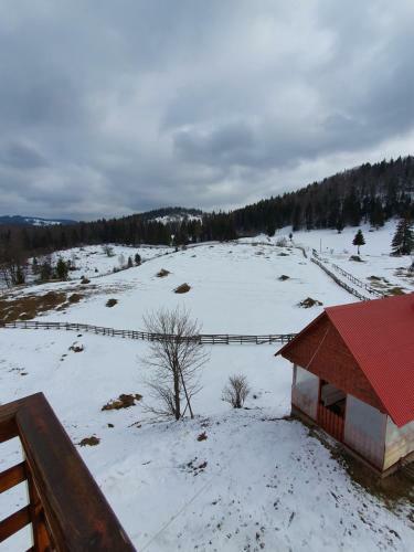 Hostal Pensiunea Poarta Lui Ionele