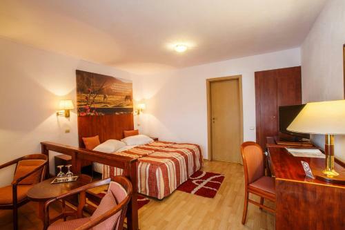 Hostal Domeniul Dracula Dane?