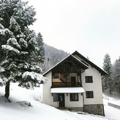 Villa Cabana Caprioara - Piatra Craiului