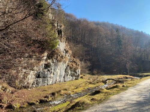 Villa Cabana Caprioara - Piatra Craiului
