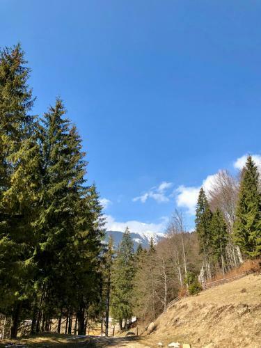 Villa Cabana Caprioara - Piatra Craiului