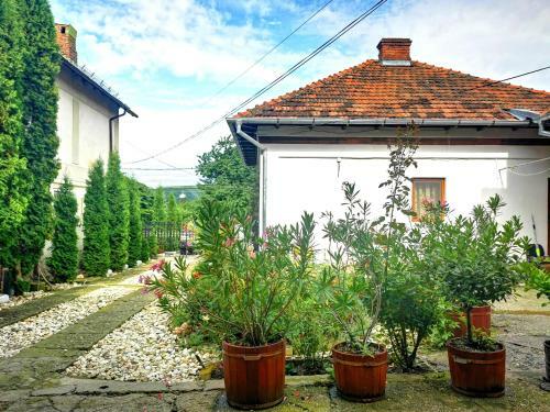 Villa Casa Petrescu