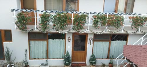 Posada Casa De Vacanta La Locanda Dubova
