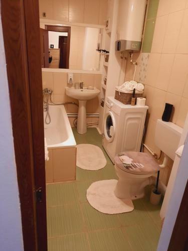 Apartamento D.d Alexandru