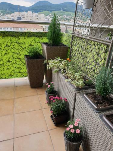 Apartamento The View