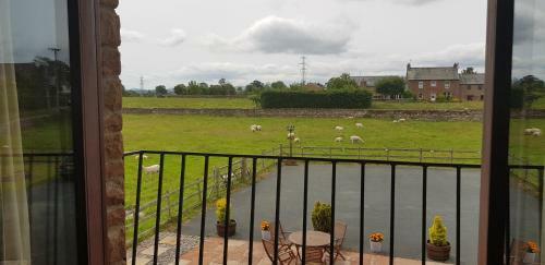 Hostal The Ginney Country Guest House