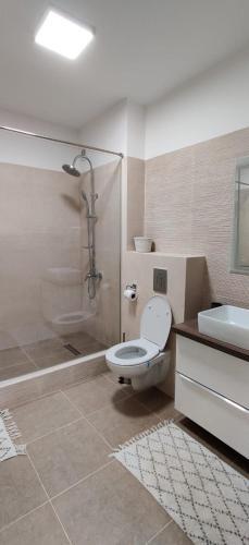 Apartament Sobarilor 38