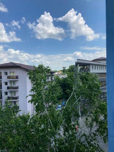 !!only During Untold!! - Cozy Apartment 500 Meters From Main Stage
