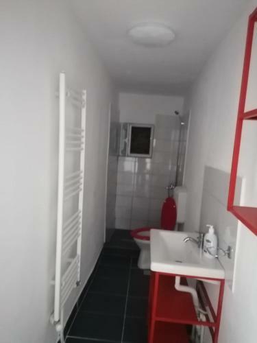 Hostal Pensiunea Nela
