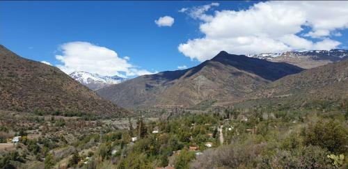Cordillera Flora End�gena Bosque Escler�filo