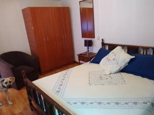 Albergue Hostal Gomero Y Shuttle Service
