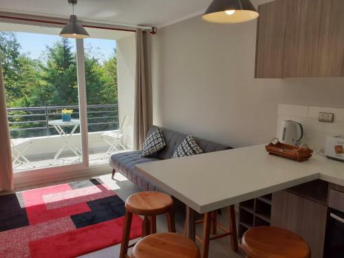 Apartamento Departamento Puc�n