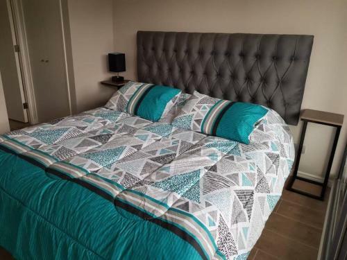 Pewen Apart Hotel Puc�n 5