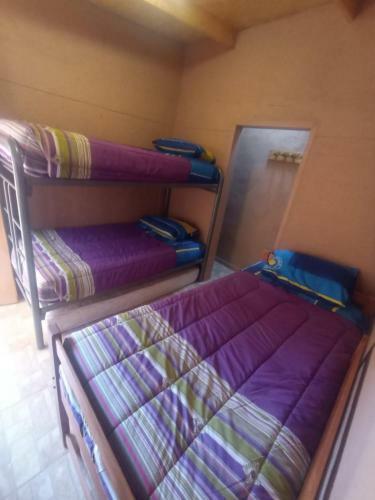 Hostal Jumanji Hostel Spa