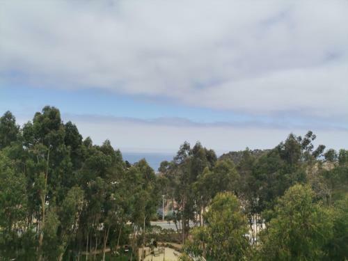 Apartamento Departamento En Algarrobo