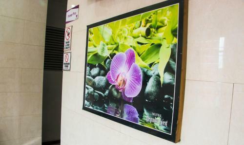 Hotel Orquidea West
