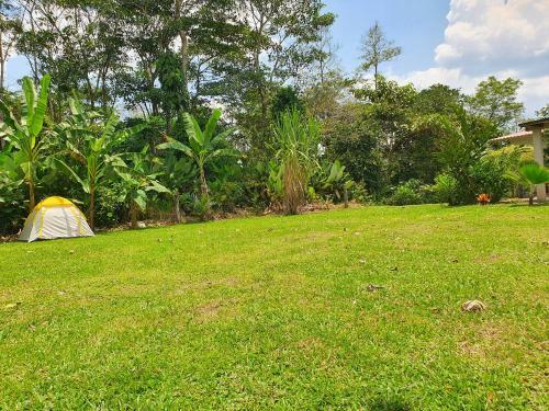 Linda Casa De Campo Entera, Guamal Meta