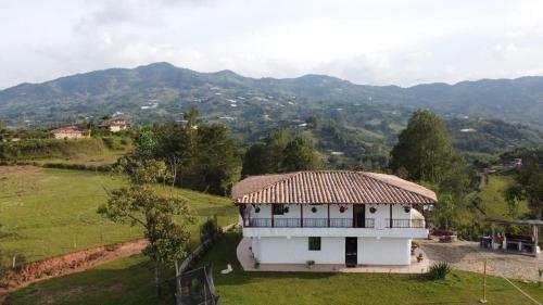 Reina Verde