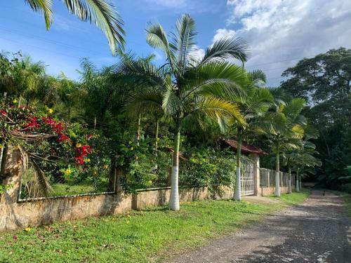 Finca Campestre En Mesitas Del Colegio