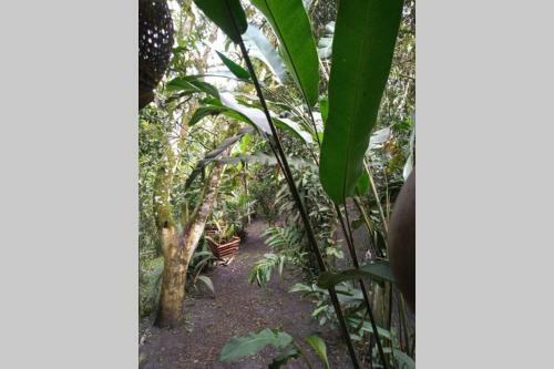 Comodidad En Ambiente Natural - Casa de Descanso Nocaima