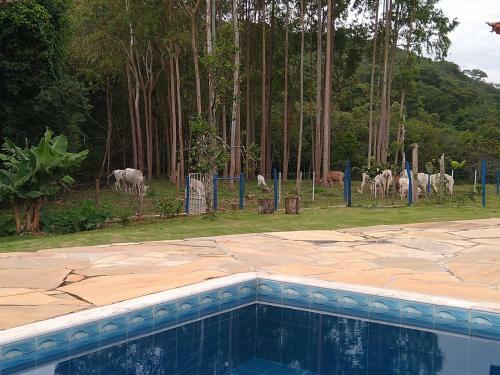 Agroturismo S�tio P� Da Serra - Pousada Rural