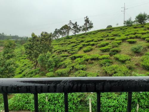 Apartamento Flamingo's Nuwara Eliya