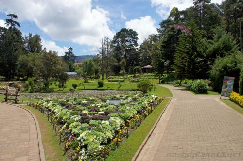 Apartamento Holiday Home Nuwara Eliya