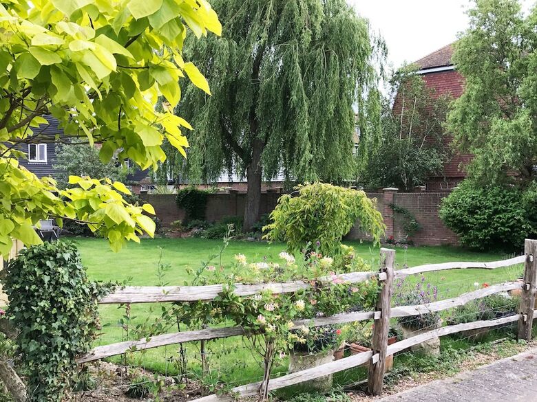 Hostal Willow Tree House
