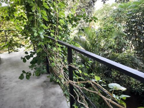 Hotel Weligama Bay Watsila Resort