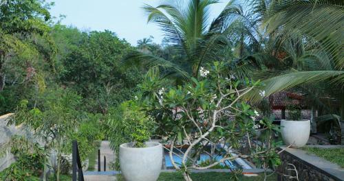 Hotel Terrace Garden Ayurveda Resort