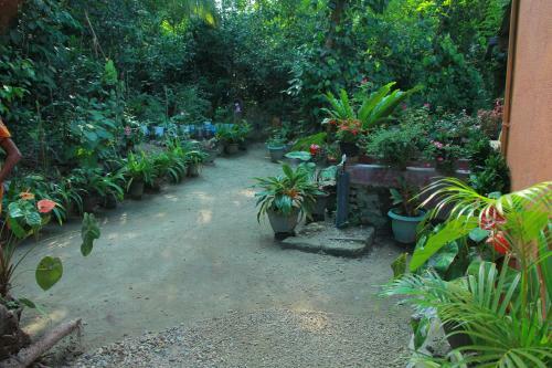 Hostal Sri Kumari Guest Room