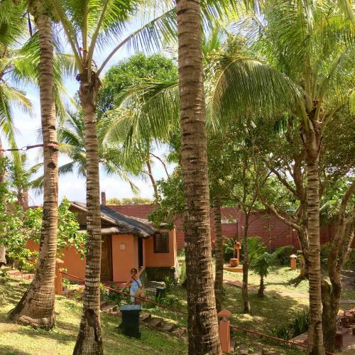 Bed & Breakfast M Villa?s Farm Resort