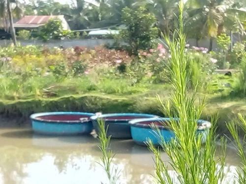 Thach Thao Homestay