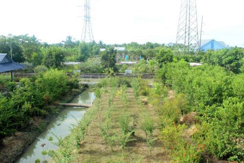 Thach Thao Homestay