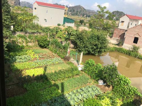 Hang Mua Sunrise Homestay