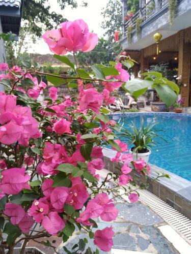 Hang M�a Village Homestay