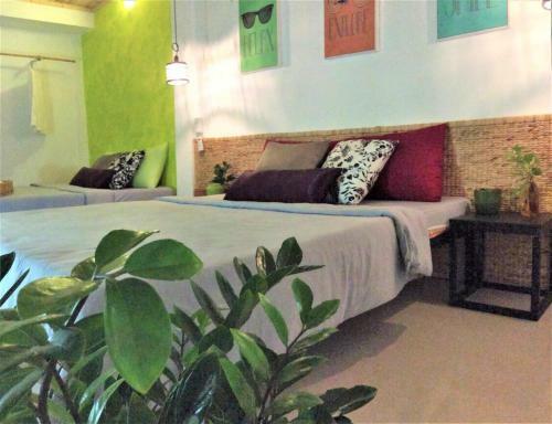 Hotel Domino Homestay