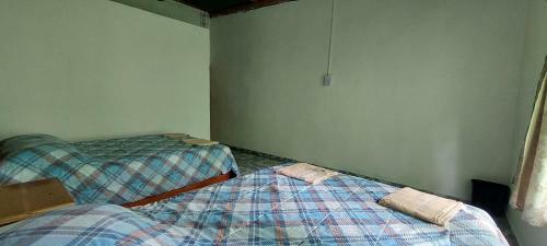 Hotel Caba�a Sak Ja Selva Lacandona