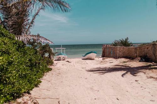 Luxury Condo, The Hidden Gem Playa Chac�. Live It!