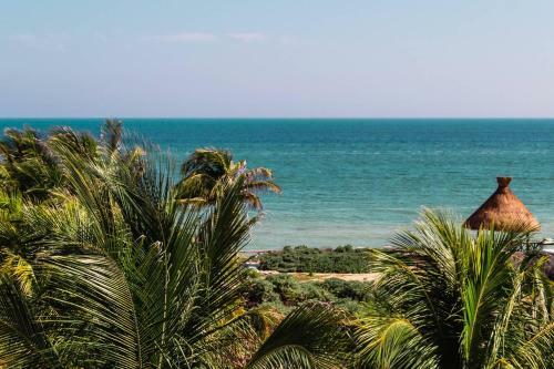 Luxury Condo, The Hidden Gem Playa Chac�. Live It!
