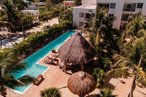 Luxury Condo, The Hidden Gem Playa Chac�. Live It!