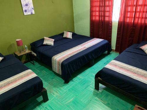 Hostal Casa Alegria