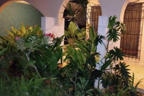 Micaela House. Beautiful House In Exclusive Area.