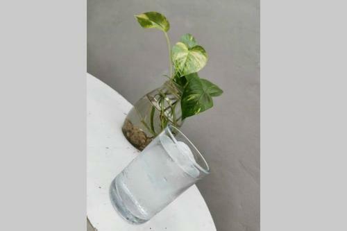 Apartamento Loft Montejo39, Alojamiento En El Coraz�n de M�rida