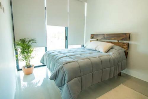Apartamento Amplio Departamento Modern Boho Cerca De La Playa