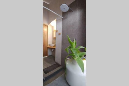 Apartamento Habitaci�n Privada Solar En Casa Zen