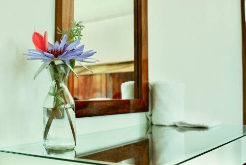 Apartamento Lidxi Rosae